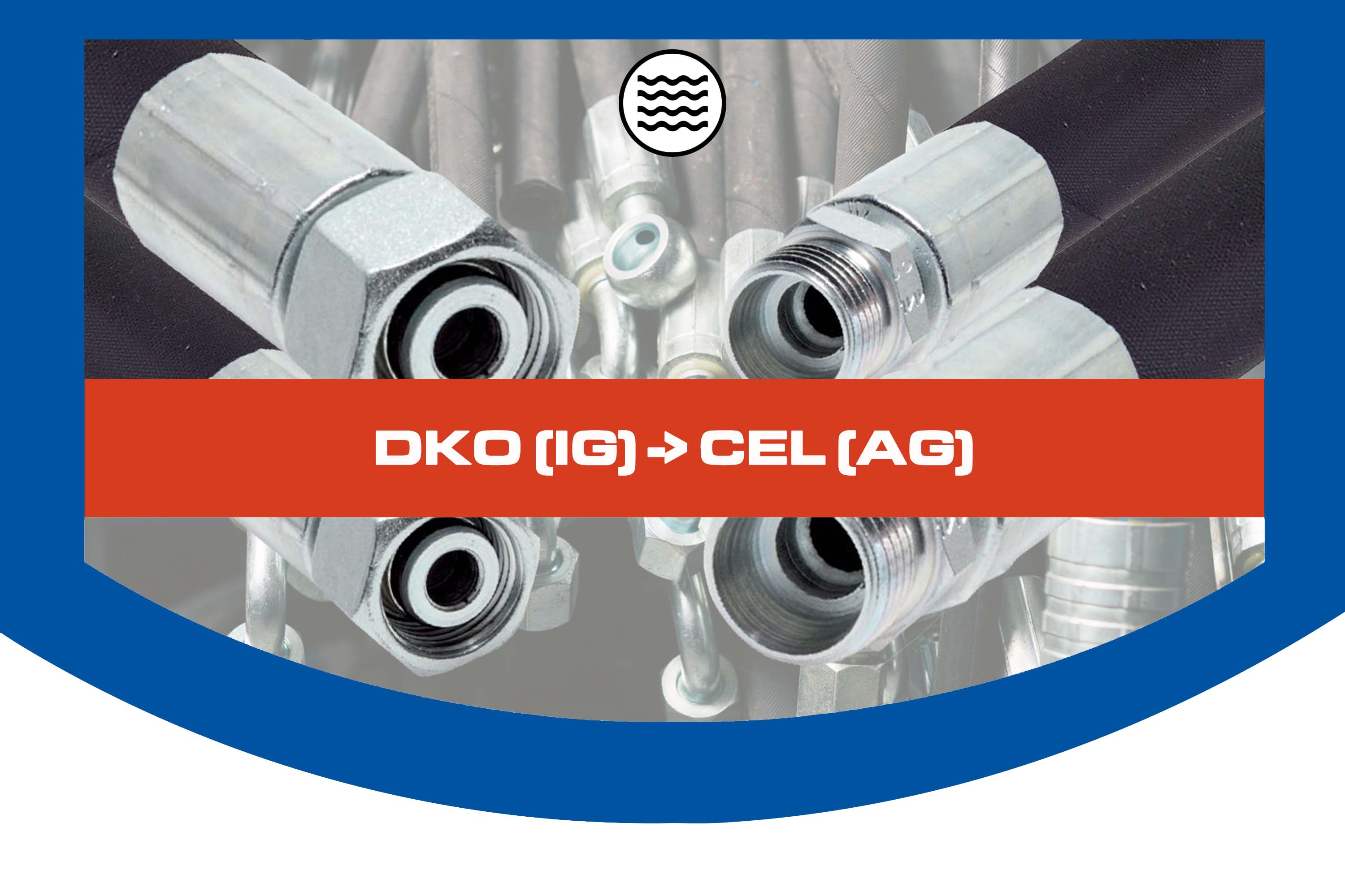 DKO (IG) -> CEL (AG) DKO (IG) -> CEL (AG)