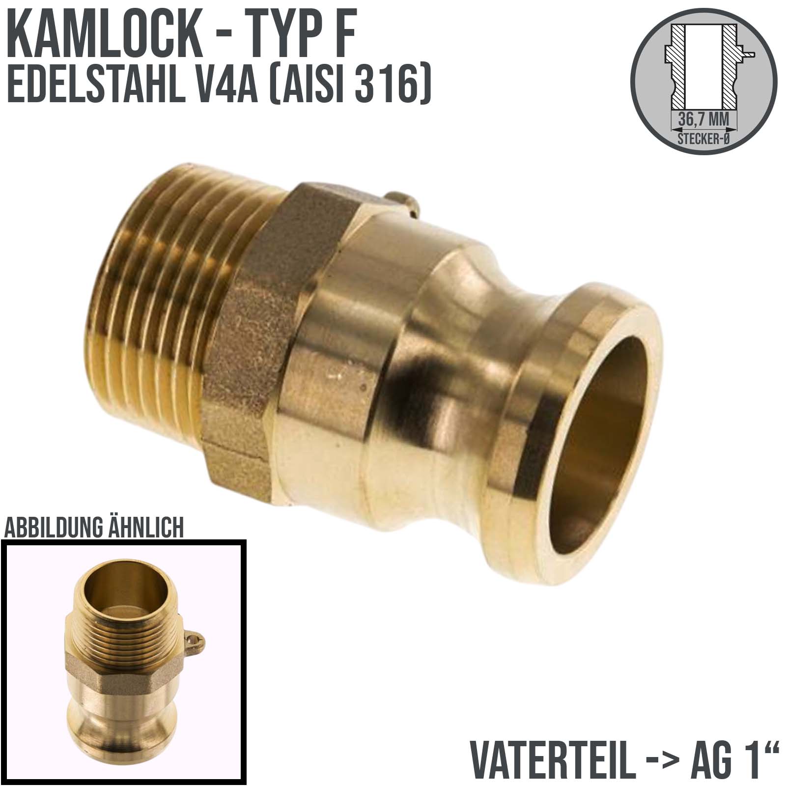 Kamlock Typ F - Vaterteil Messing - 36,7 mm Stecker mit Außengewinde (AG) 1" Zoll DN 25 - PN 17 bar