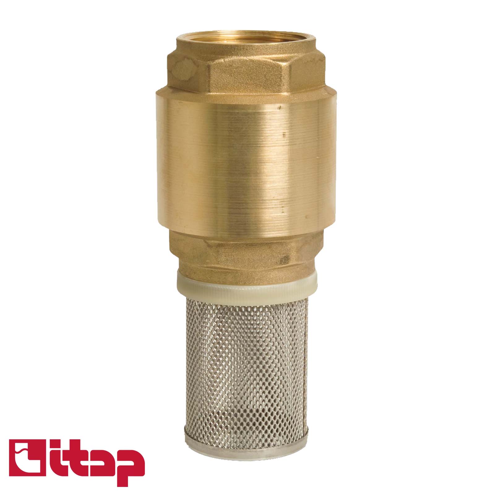 2" Zoll Itap Fuß Rückschlag Absperr Ventil Messing Edelstahl Saugkorb Messing Verschluss Typ 105 - PN 18 bar