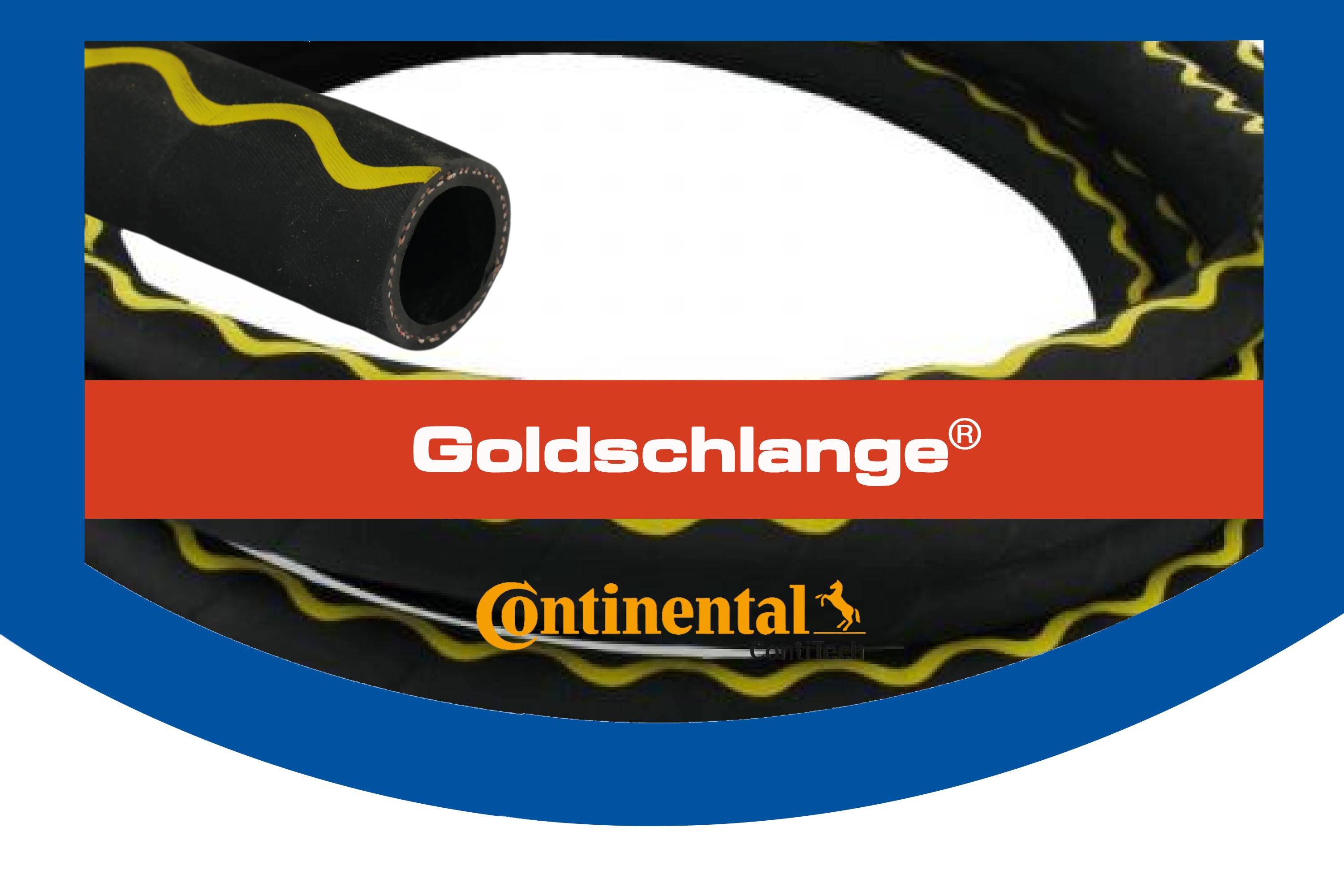 GOLDSCHLANGE