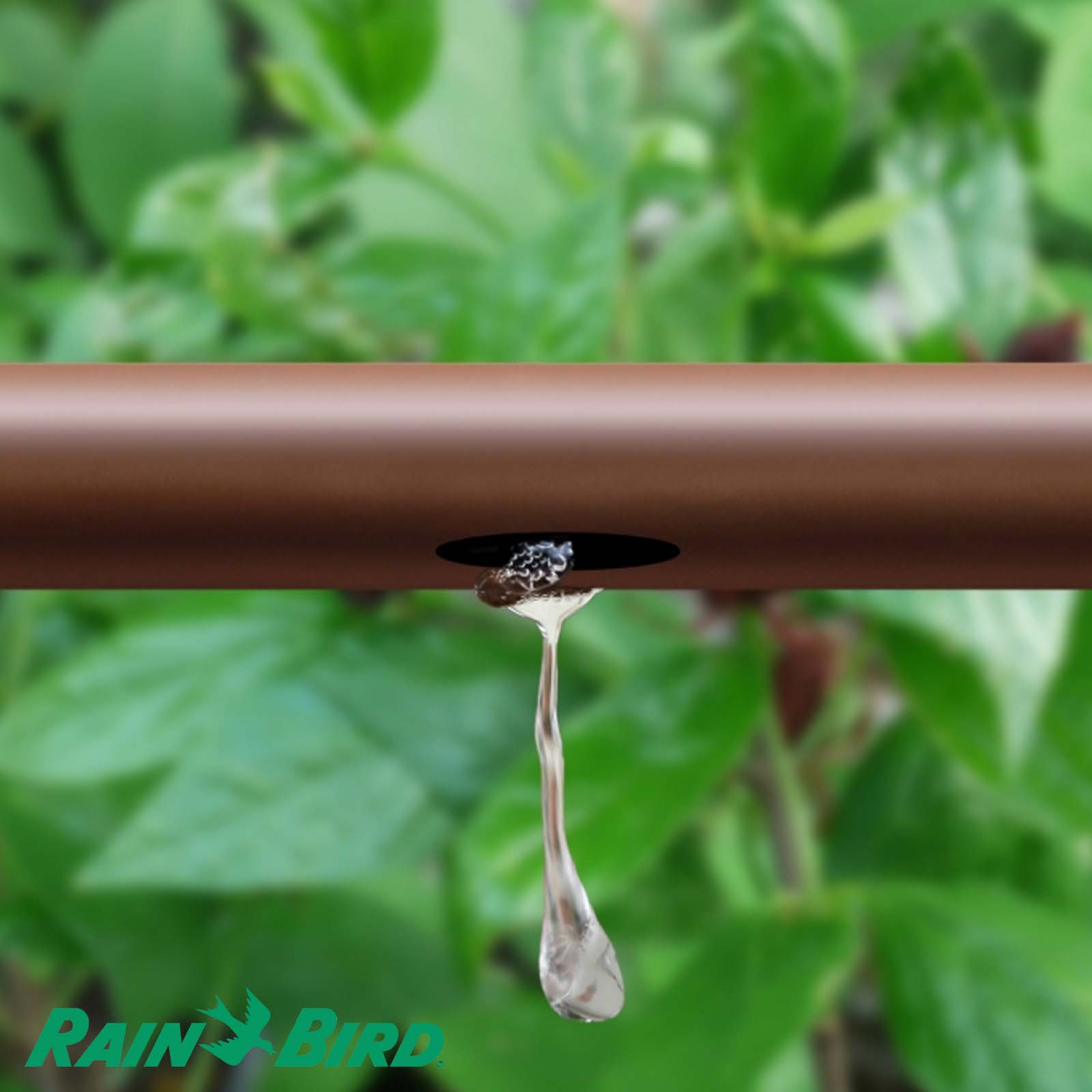 Rain Bird Tropfschlauch Oberirdisch PE 16 mm x 1,2 mm 1.6ltr/h 33 cm braun Typ PC inline XFD - 100 m