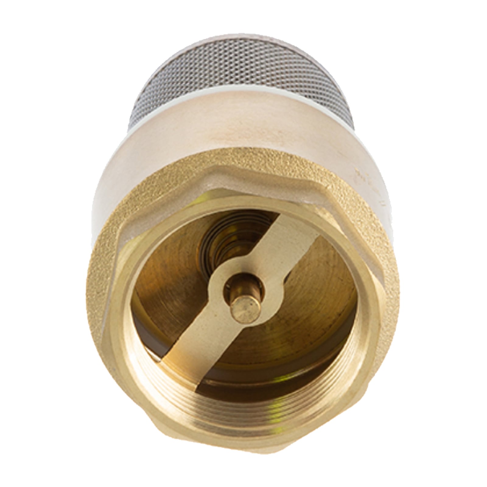 2" Zoll Fuß Rückschlag Absperr Ventil Messing Edelstahl Saugkorb Messing Verschluss  - PN 20 bar